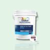 SƠN NGOẠI THẤT DULUX PROFESSIONAL E700